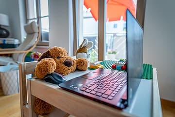 teddy bear typing at his office